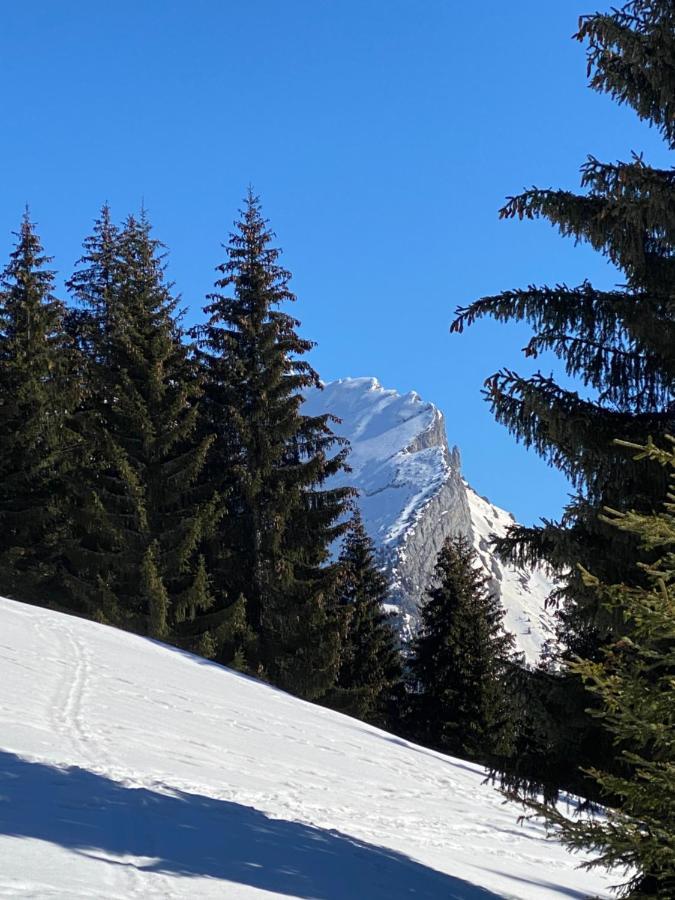 Les Bouquetins Apartamento La Clusaz Exterior foto
