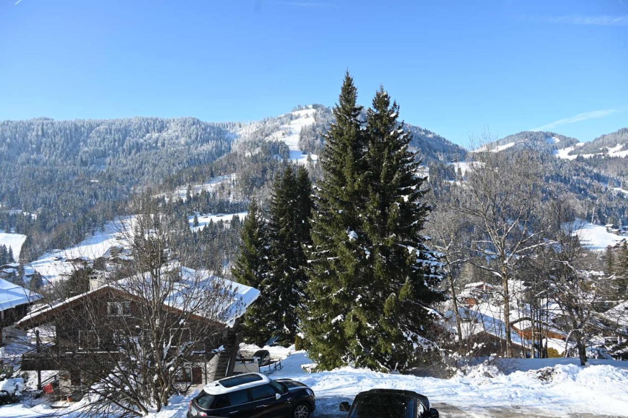 Les Bouquetins Apartamento La Clusaz Exterior foto